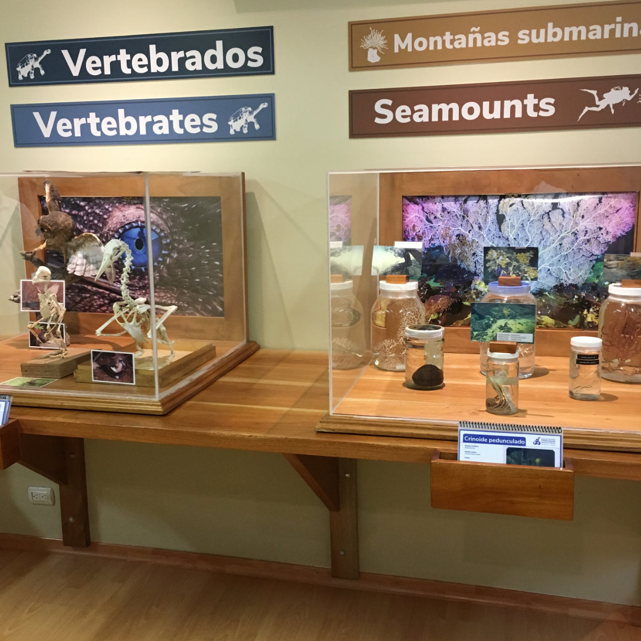 Charles Darwin Foundation exhibition environments